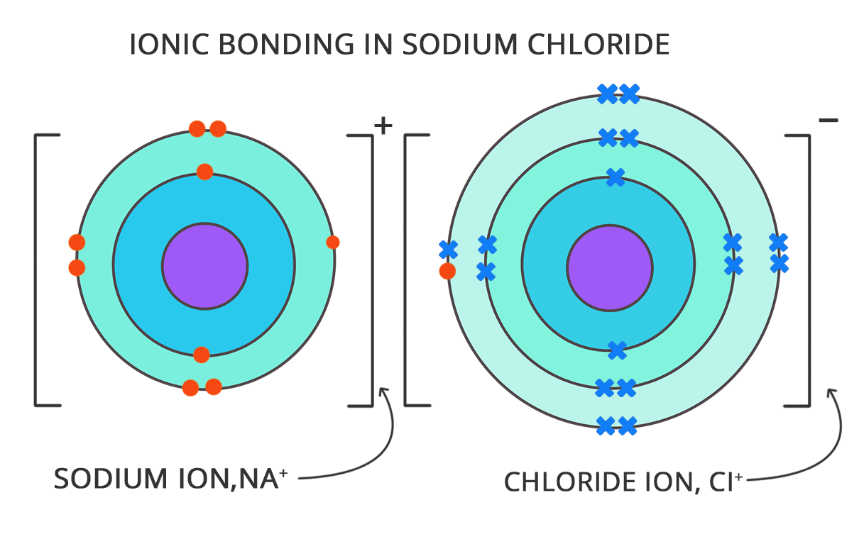 Introduction of Difference between Atom and Ion in Chemistry AESL